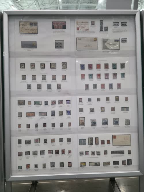 A Miscellany of Rarity — frame 99, exhibited by Mark Horne