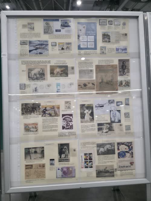 Nanook, the Polar Bear, in All Its Aspects — frame 2082, exhibited by Marie-Pierre Félix