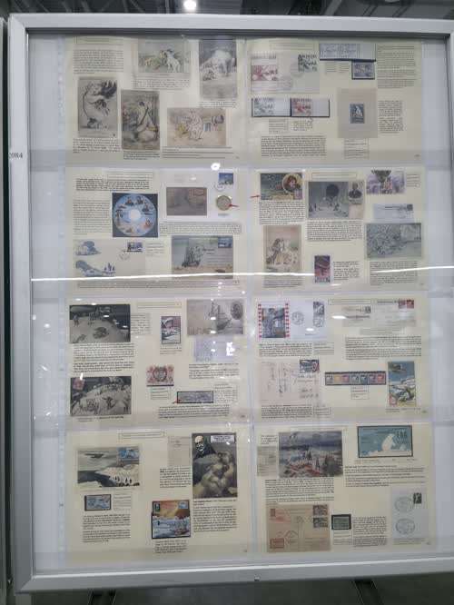 Nanook, the Polar Bear, in All Its Aspects — frame 2084, exhibited by Marie-Pierre Félix