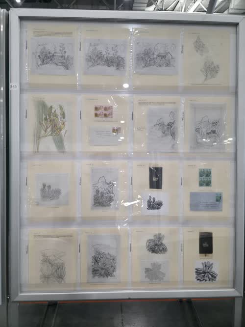 The 1972 Floral Definitives of Tristan da Cunha — frame 2143, exhibited by Mark A. Butterline