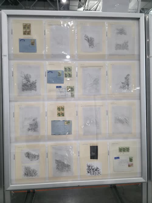The 1972 Floral Definitives of Tristan da Cunha — frame 2144, exhibited by Mark A. Butterline