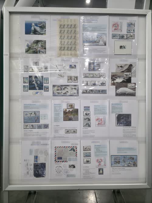 The Flight Birds in the Antarctic - Les Oiseaux Volants de l'Antarctique — frame 2155, exhibited by Jacques Favre