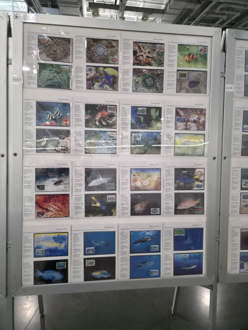 Marine Ecosystem — frame 6107, exhibited by Chang Chen Chen