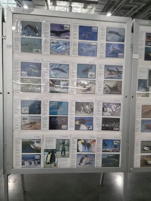 Marine Ecosystem — frame 6108, exhibited by Chang Chen Chen