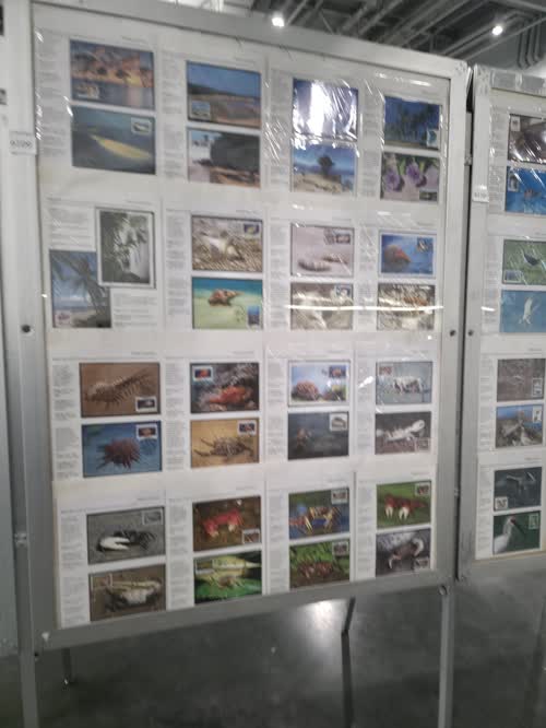 Marine Ecosystem — frame 6109, exhibited by Chang Chen Chen