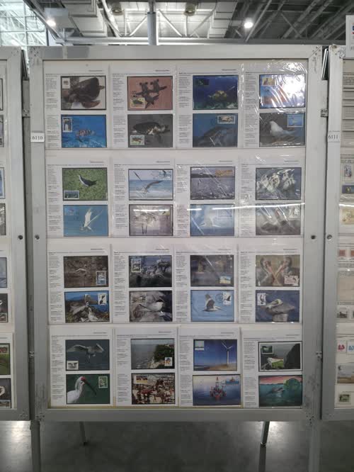 Marine Ecosystem — frame 6110, exhibited by Chang Chen Chen